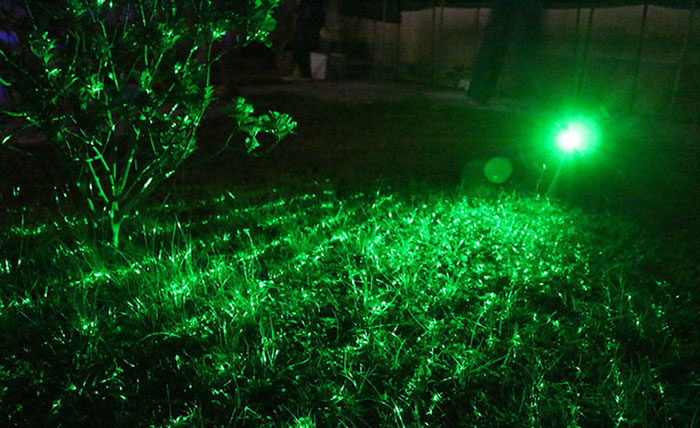 christmas laser light